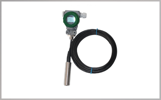 PWJY22 Hydrostatic level meter 